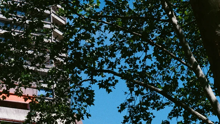 Ein Hochhaus und Umgebung.